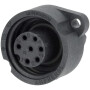 Prise de courant FENDT (AGCO) G816900043400