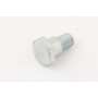 Vis AS-MOTOR G00009041