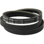 Courroie AS-MOTOR G07857054