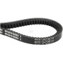 Courroie AS-MOTOR G07352015