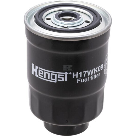 Filtre HENGST H17WK09