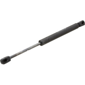 Vérin à gaz AGCO H816810030500