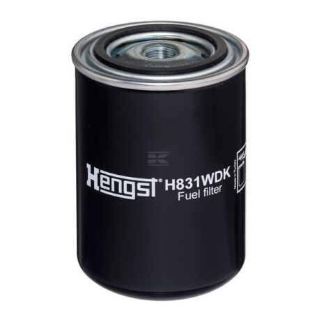 Filtre HENGST H831WDK