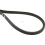 Courroie TIELBÜRGER HB020243