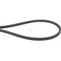 Courroie TIELBÜRGER HB220285