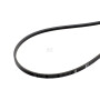 Courroie TIELBÜRGER HB070273
