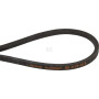 Courroie TIELBÜRGER HB010249