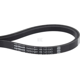 Courroie TIELBÜRGER HB165043