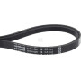 Courroie TIELBÜRGER HB165043