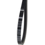 Courroie TIELBÜRGER HB165145