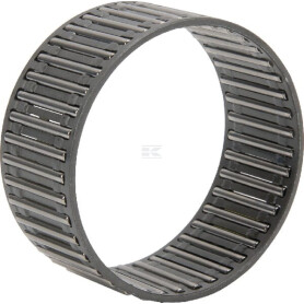 Cage INA/FAG K55X60X27B07