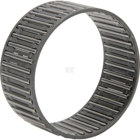 Cage INA/FAG K55X60X27B07