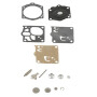 Kit WALBRO K11WJKR