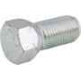 Boulon de roue KUBOTA K256118212