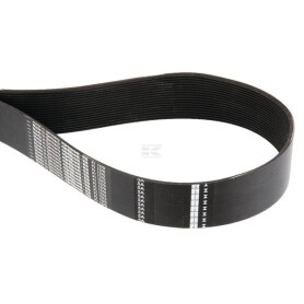 Courroie KVERNELAND / KLEINE KL880956