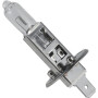 Ampoule UNIVERSEL KR417582P01B