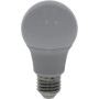 Ampoule LED UNIVERSEL KRSBA608E27