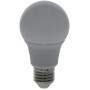 Ampoule LED UNIVERSEL KRSBA6049E27