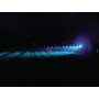 Eclairage UNIVERSAL LA100021