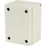 Boîtier RITTAL KX1529000