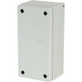 Boîtier RITTAL KX1501000