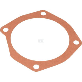 Joint MASCHIO M10100125R