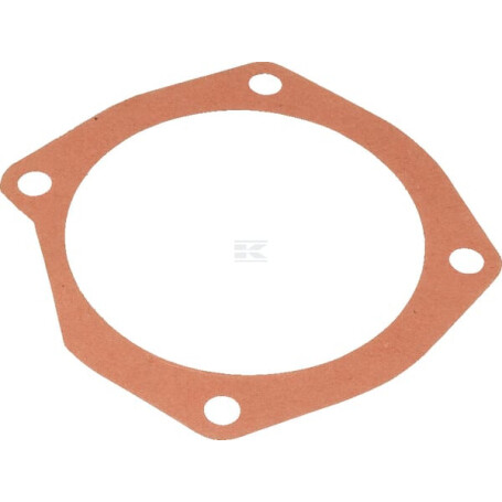 Joint MASCHIO M10100125R