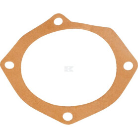 Joint MASCHIO M10100165R