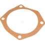 Joint MASCHIO M10100164R