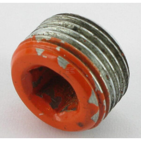Bouchon d'huile MASCHIO M29100112R