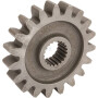 Pignon MASCHIO M26100118R