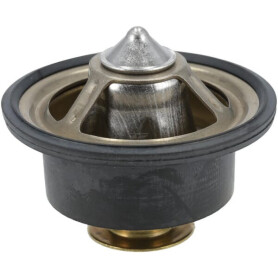 Thermostat MANITOU MA52726168