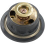 Thermostat MANITOU MA52726168