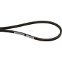 Courroie MITSUBISHI MD025523
