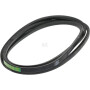 Courroie SABO M41668
