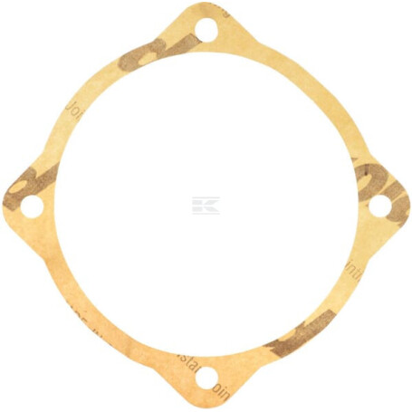Joint MASCHIO M48000109R