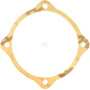 Joint MASCHIO M48000109R