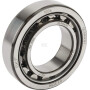Roulement cylindriques SKF NU1006
