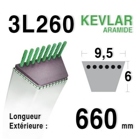 Courroie 3l26 - 9,5 mm x 660 mm