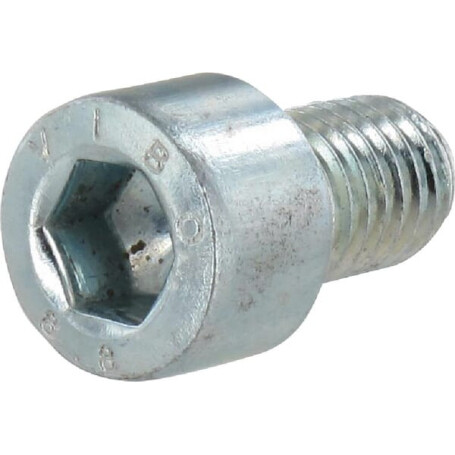 Vis VOGELSANG NSI017