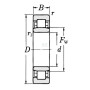 Roulement cylindriques SKF NU221ECJ