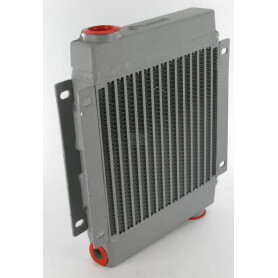 Radiateur EMMEGI OK92024150