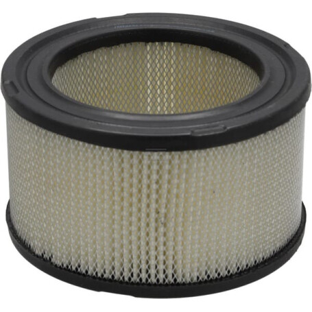 Filtre à air DONALDSON P607234