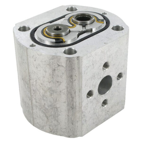 Pompe CASAPPA PLP208D0LXXGDS7NEL