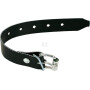Boucle de sangle UNIVERSEL PL11970