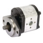 Pompe à engrenages CASAPPA PLP3022D004S5