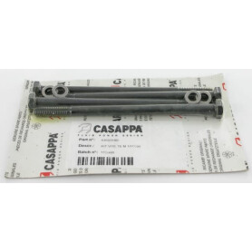 Jeu de boulons CASAPPA PLP920M10180