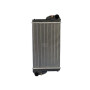 Radiateur UNIVERSEL RE245236N