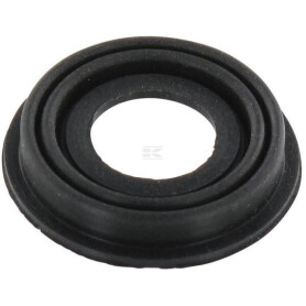 Membrane KVERNELAND / RAU RG00047229