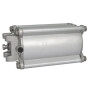 Vérin pneumatique RIV RIV164150